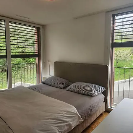 Oasis De Serenite Au Coeur De Lausanne : Spacieux Le Mont-Sur-Lausanne