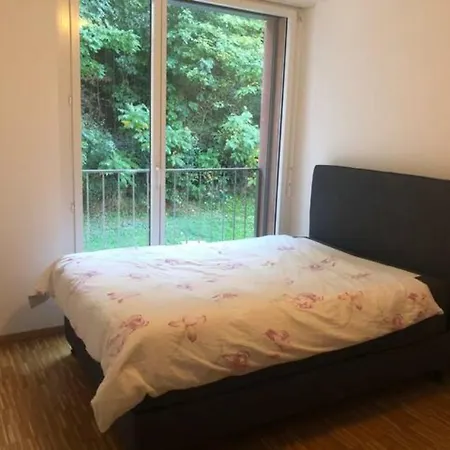 Lejlighed Oasis De Serenite Au Coeur De Lausanne : Spacieux