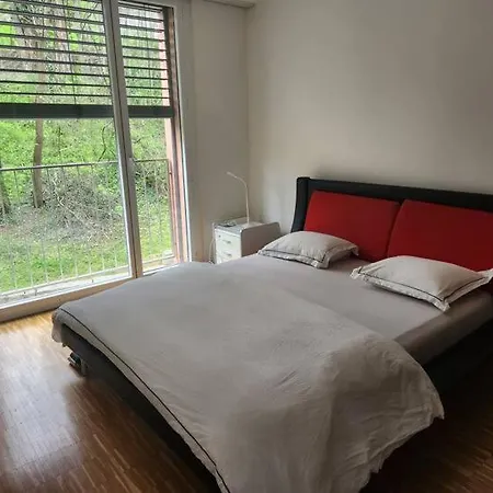 Oasis De Serenite Au Coeur De Lausanne : Spacieux *